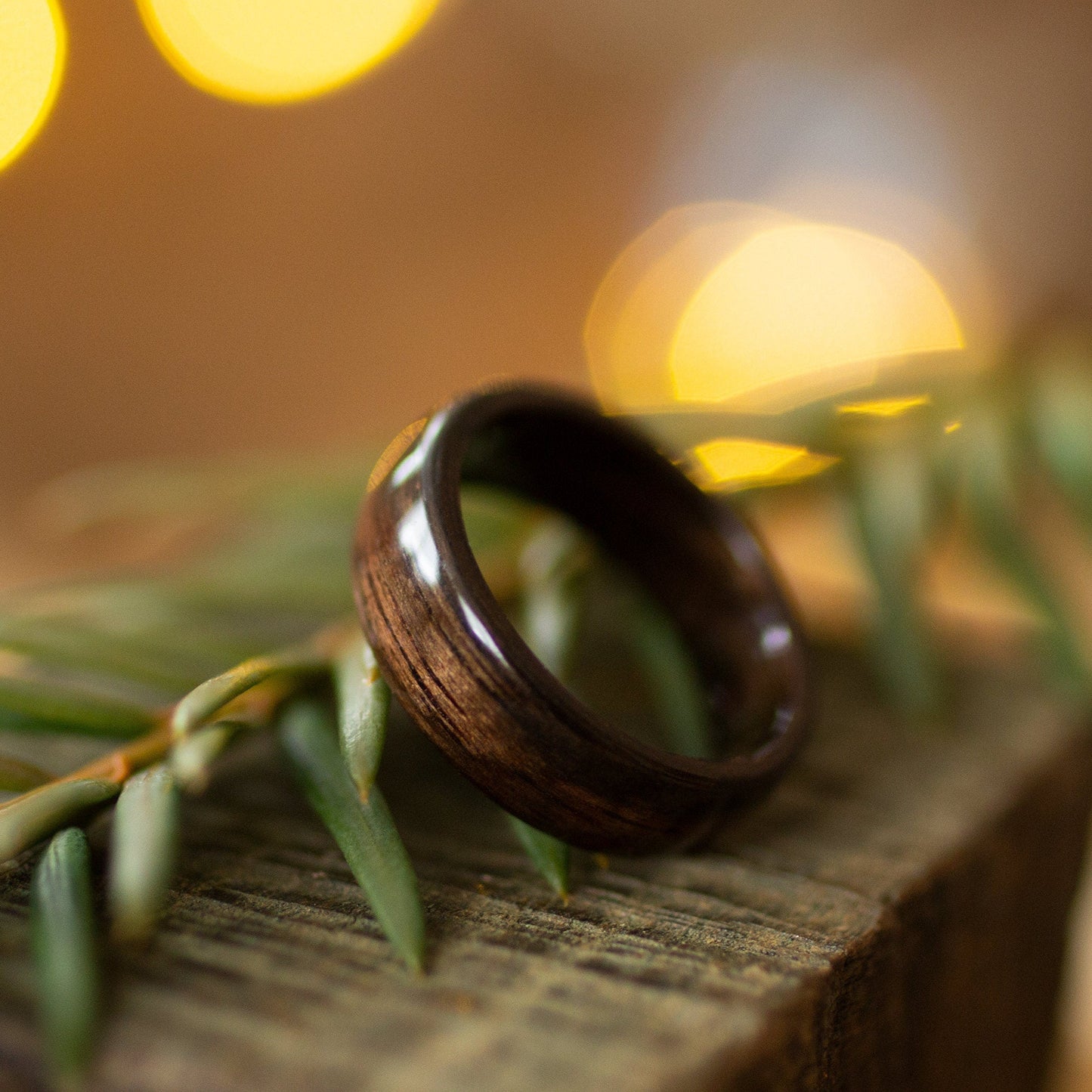 Handcrafted ebony wood ring resting on greenery, emphasizing its minimalist design and polished surface.