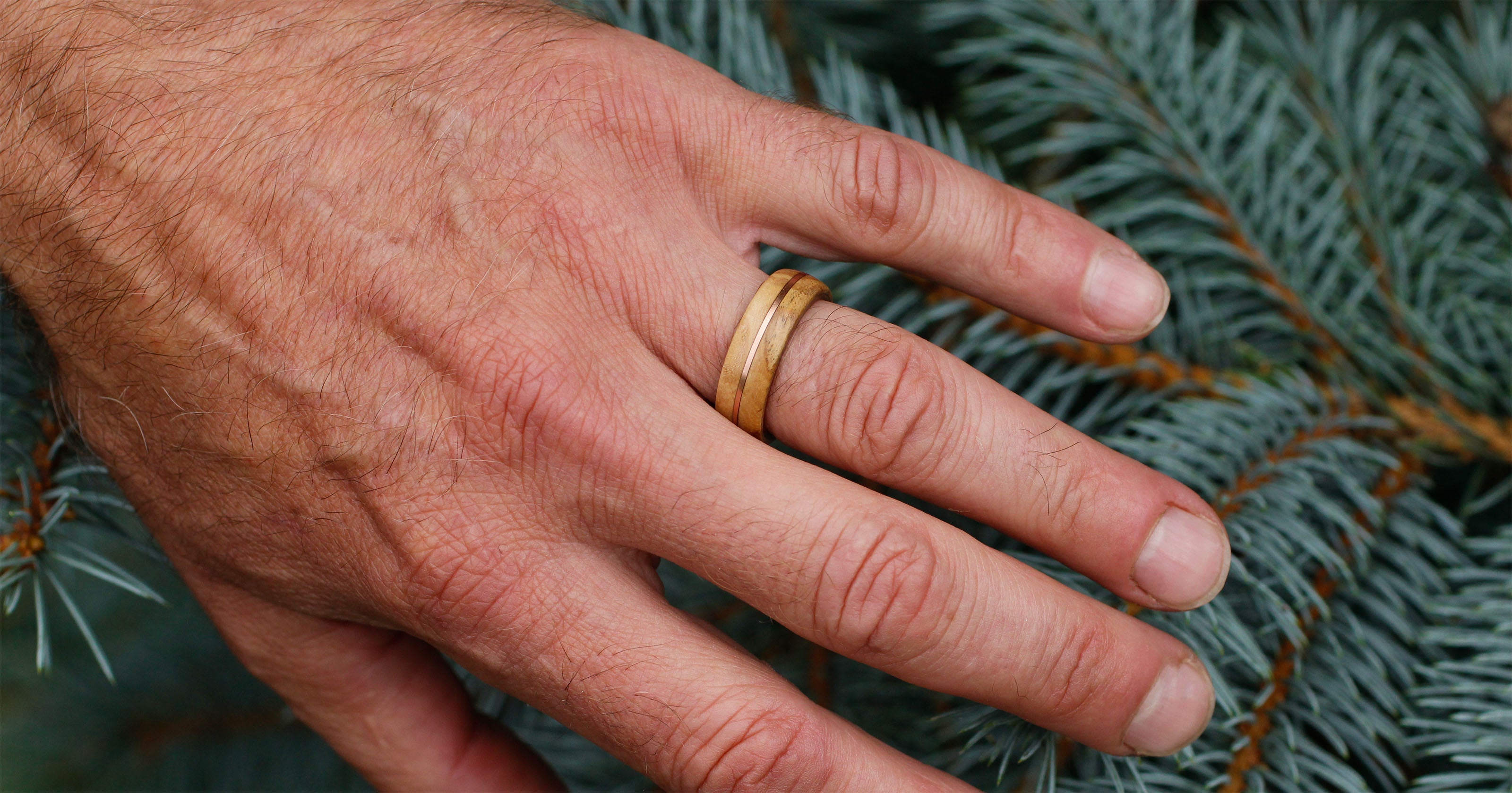 Hand wearing light wood ring with copper inlay, resting against blue spruce branches.
