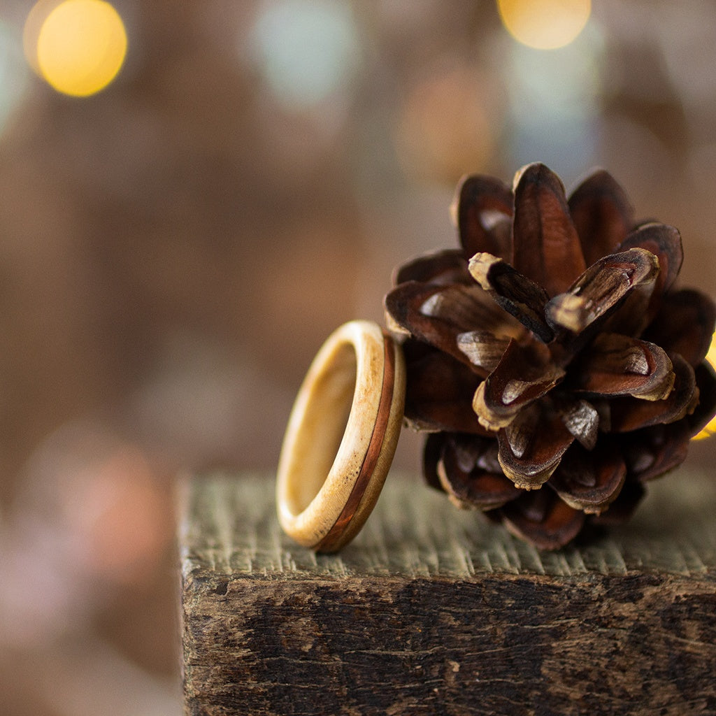 Light ash ring with copper detail next to pinecone, styled on wood with festive soft lighting.