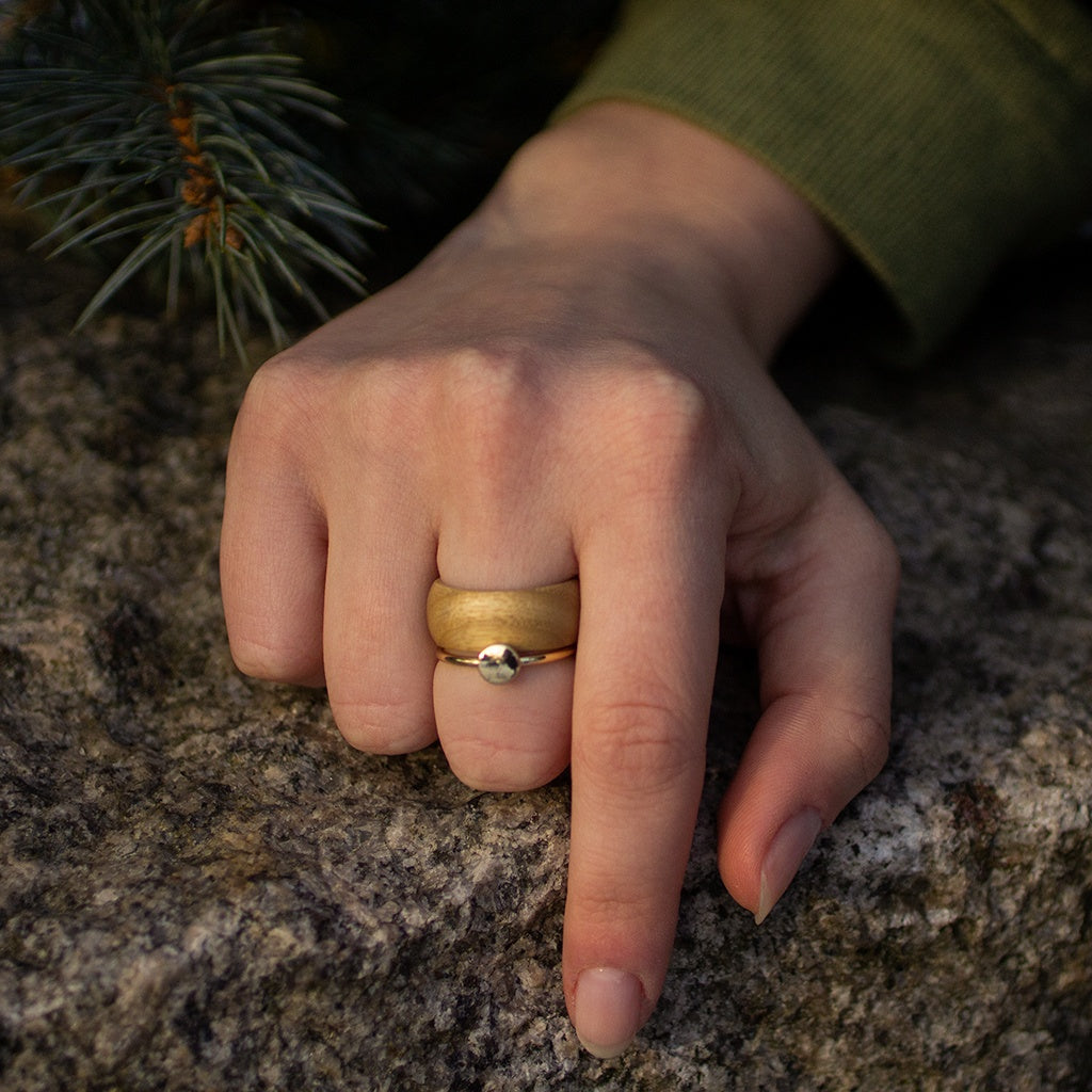Hand wearing matte ash wood ring, resting on stone with pine needles in background.