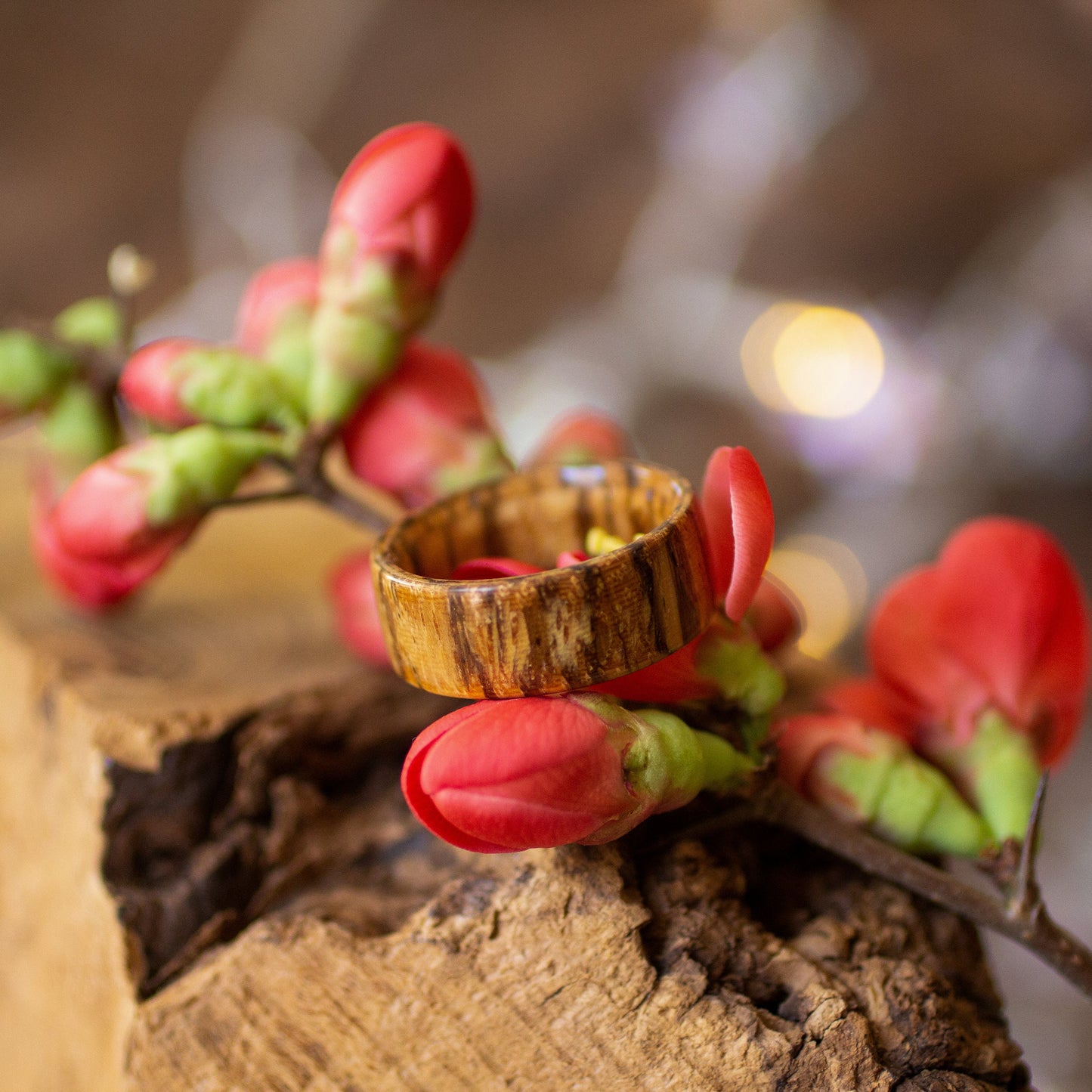 Zebrano bentwood ring standing upright on bark, surrounded by red blossoms and blurred background lights.