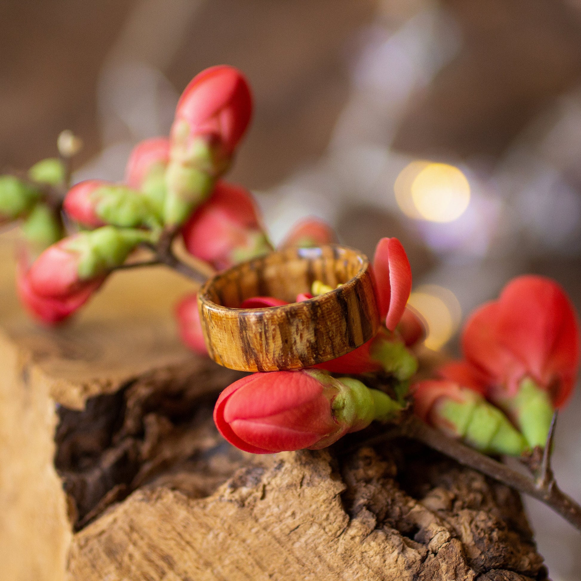Zebrano bentwood ring standing upright on bark, surrounded by red blossoms and blurred background lights.