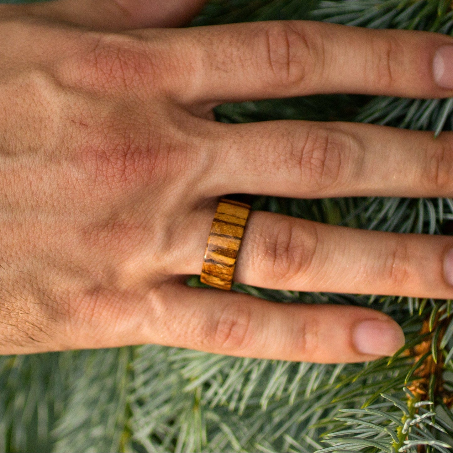 Hand wearing Zebrano bentwood ring, showing striped wood grain against evergreen branches.