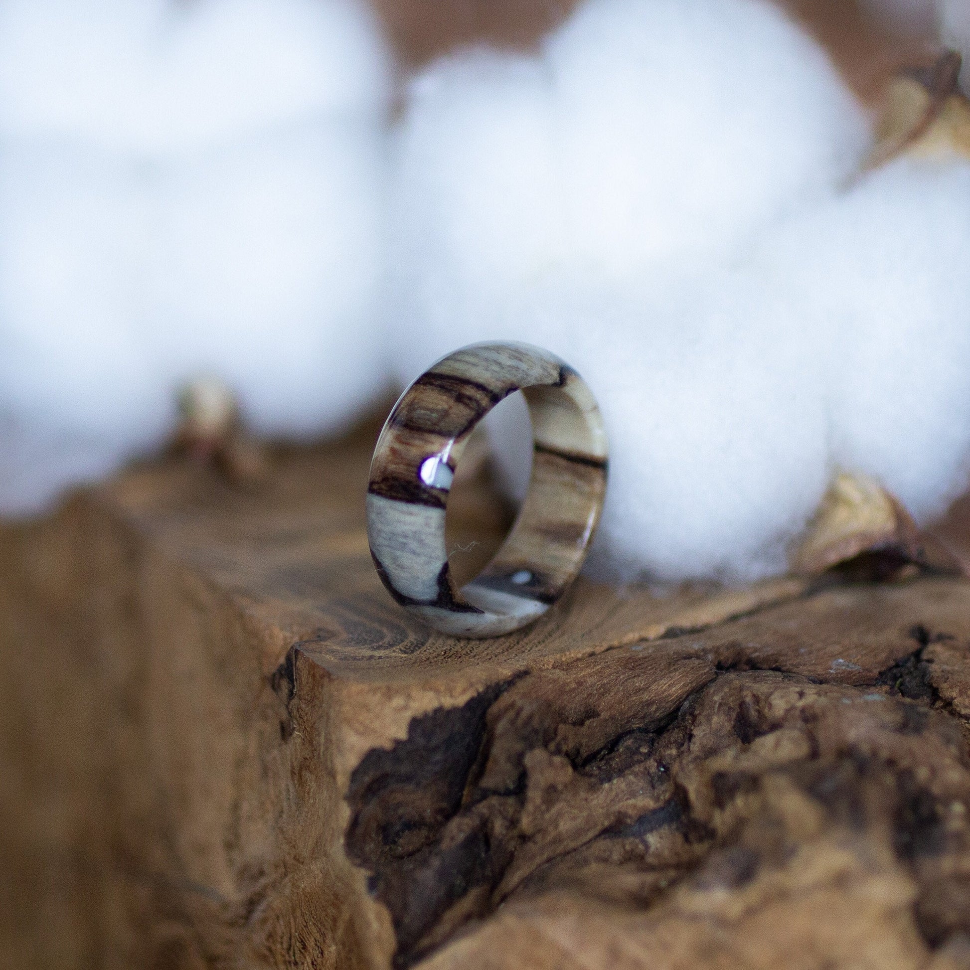 Epoxy birch wood ring resting on rugged bark with soft cotton tufts, highlighting its glossy finish.