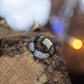 Epoxy birch ring on natural wood, showing contrast between light birch and clear resin.