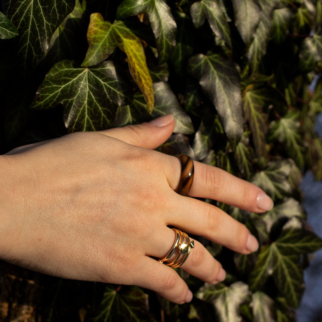 Hand in motion through greenery, wearing striped ash wood ring and second accent ring.